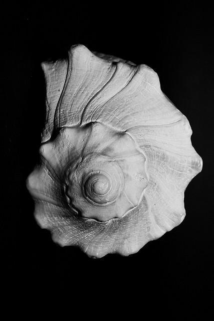 Twisted.conch Does Not Support Strong Key Exchange Algorithms (Yet?)