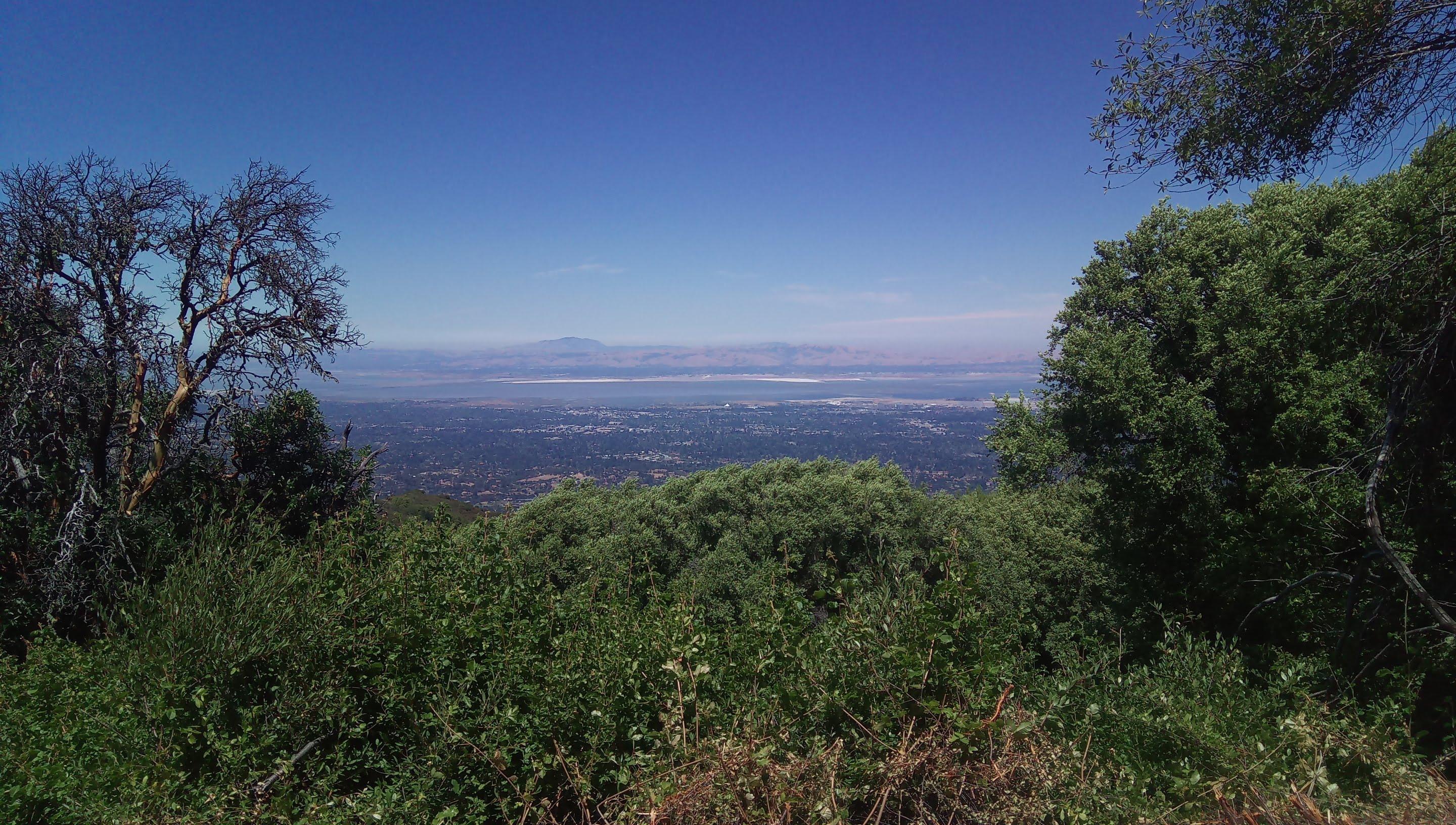 Silicon Valley and the Bay