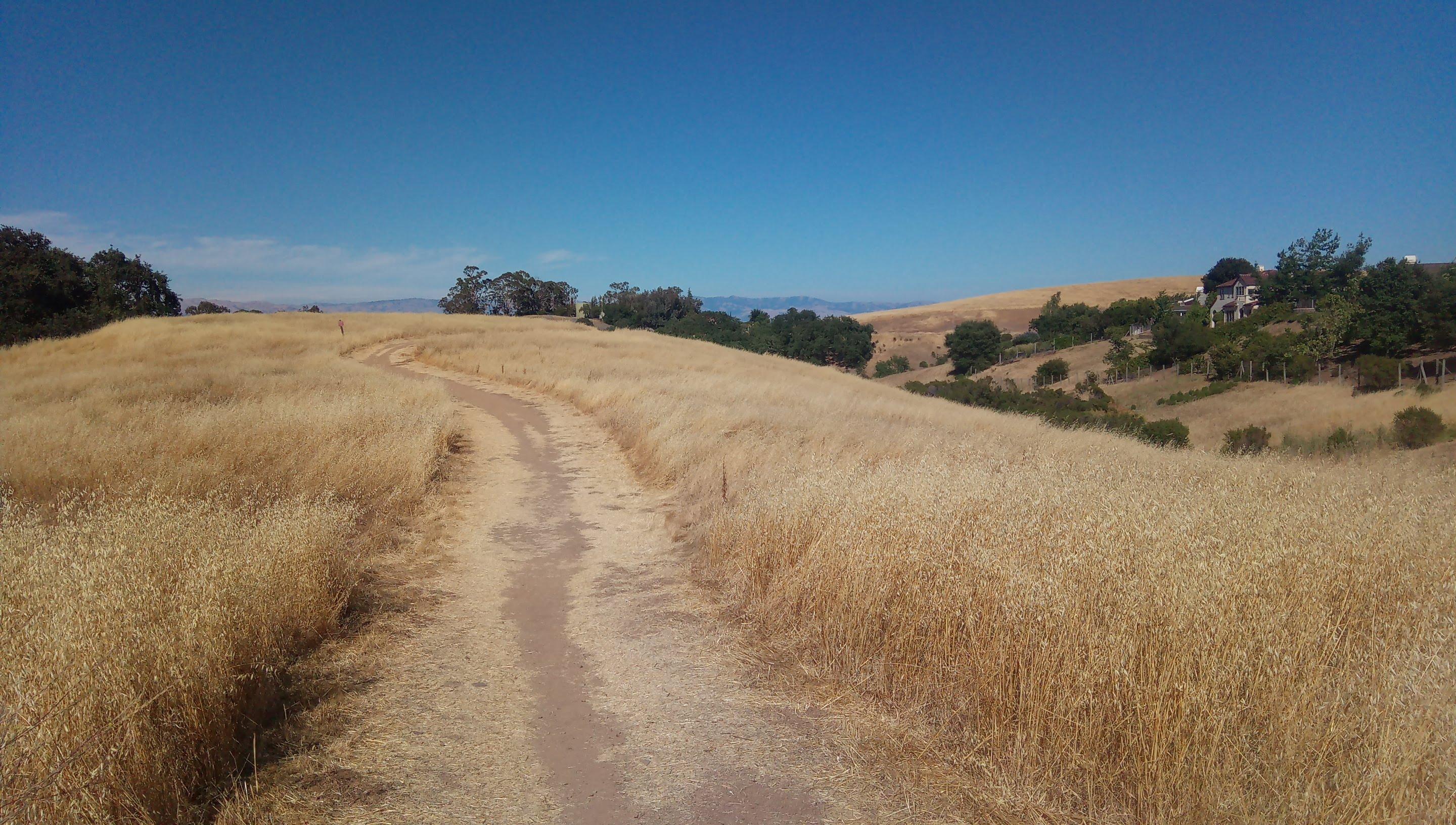 Black Mountain SOTA activation 2020-06-27 (Field Day)