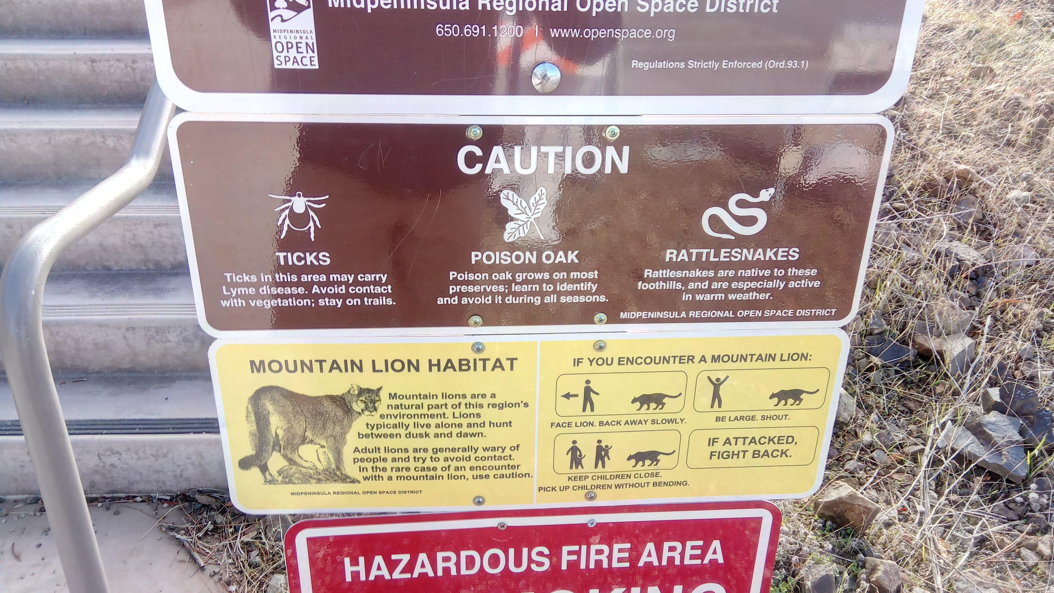 All the (not so) fun critters Bay Area has can be found here