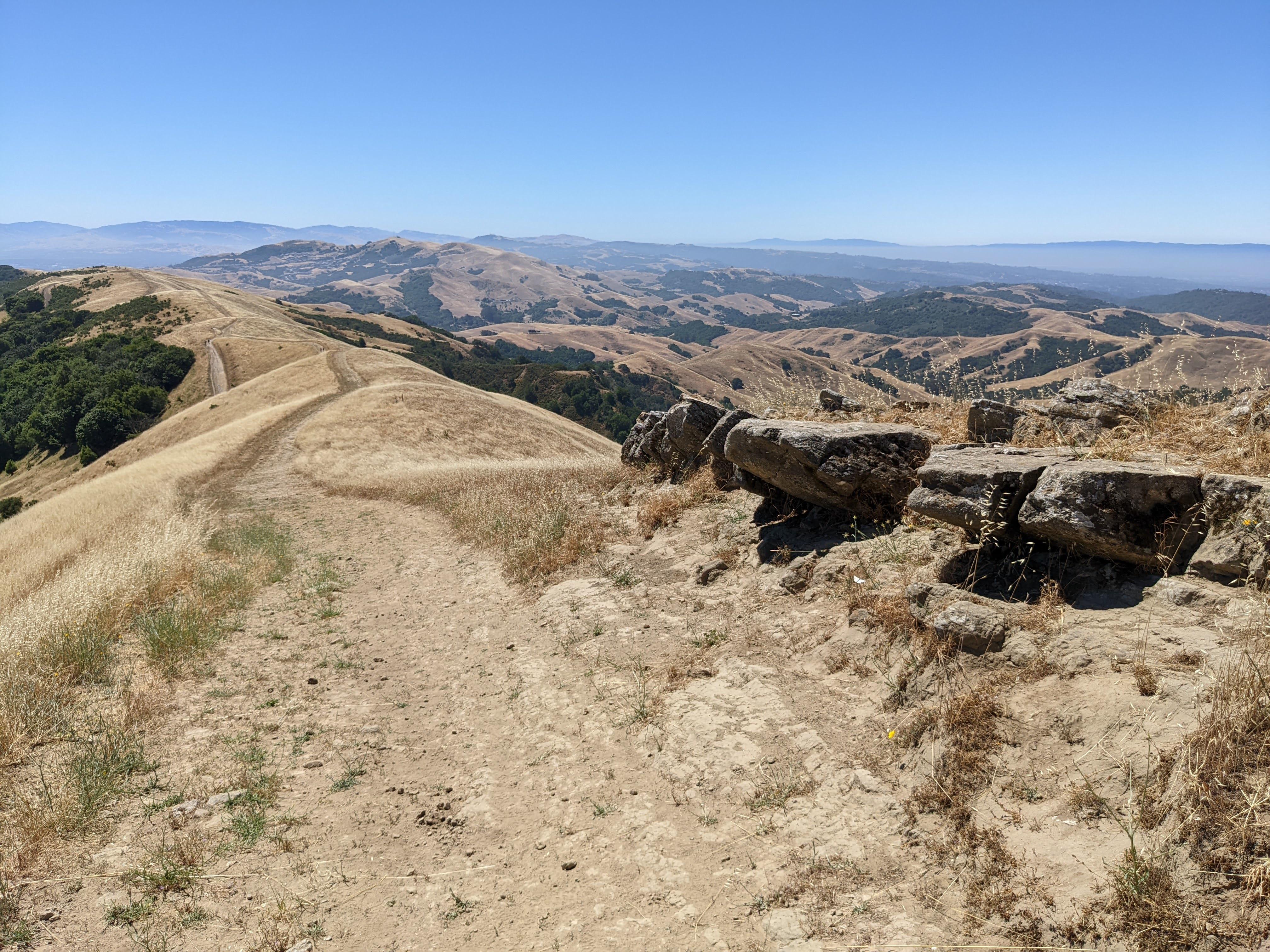 Would not call the ridge &lsquo;rocky&rsquo; myself but rocks are definitely present