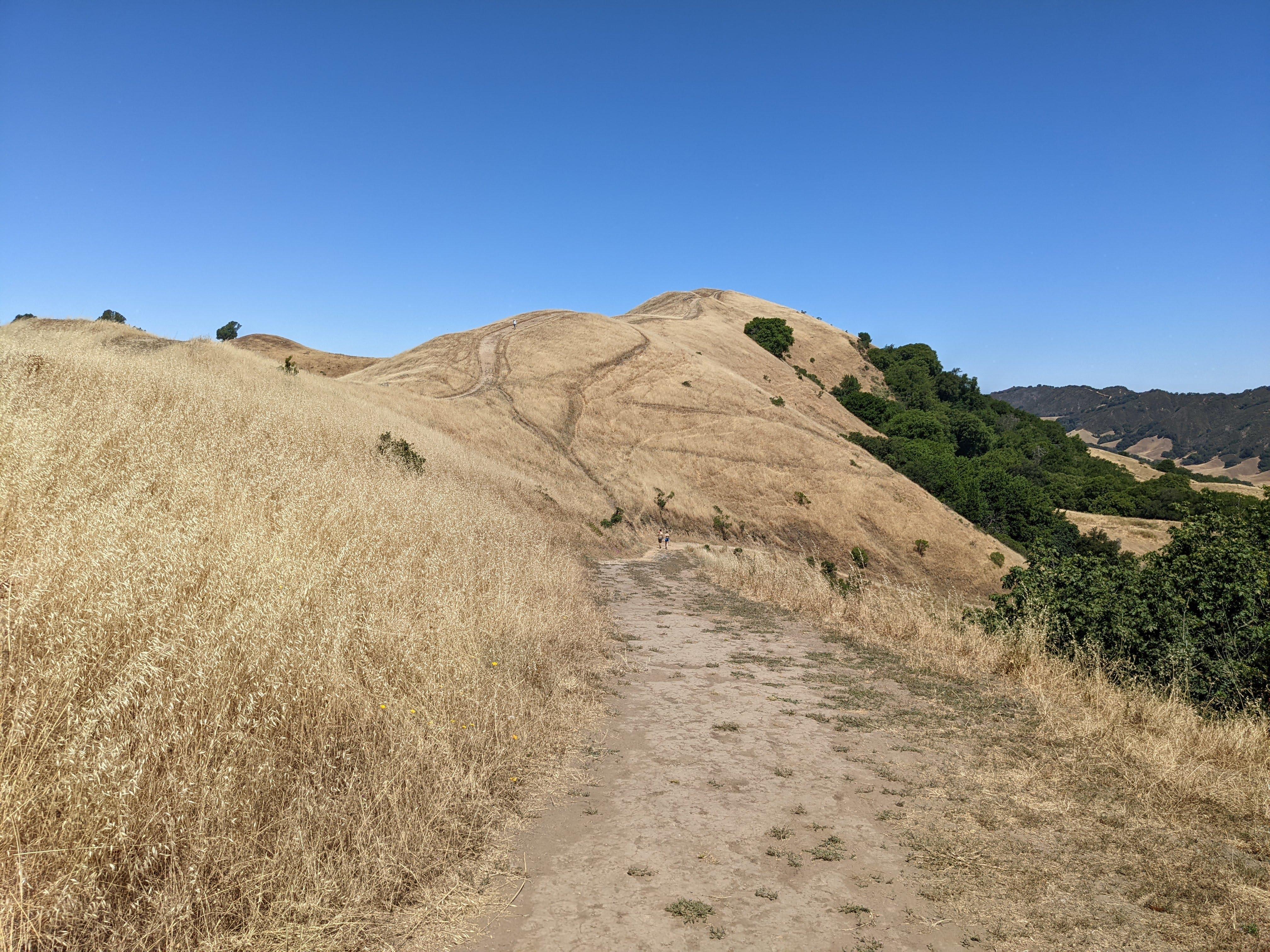 Elderberry trail takes you back to the parking lot and has some shade