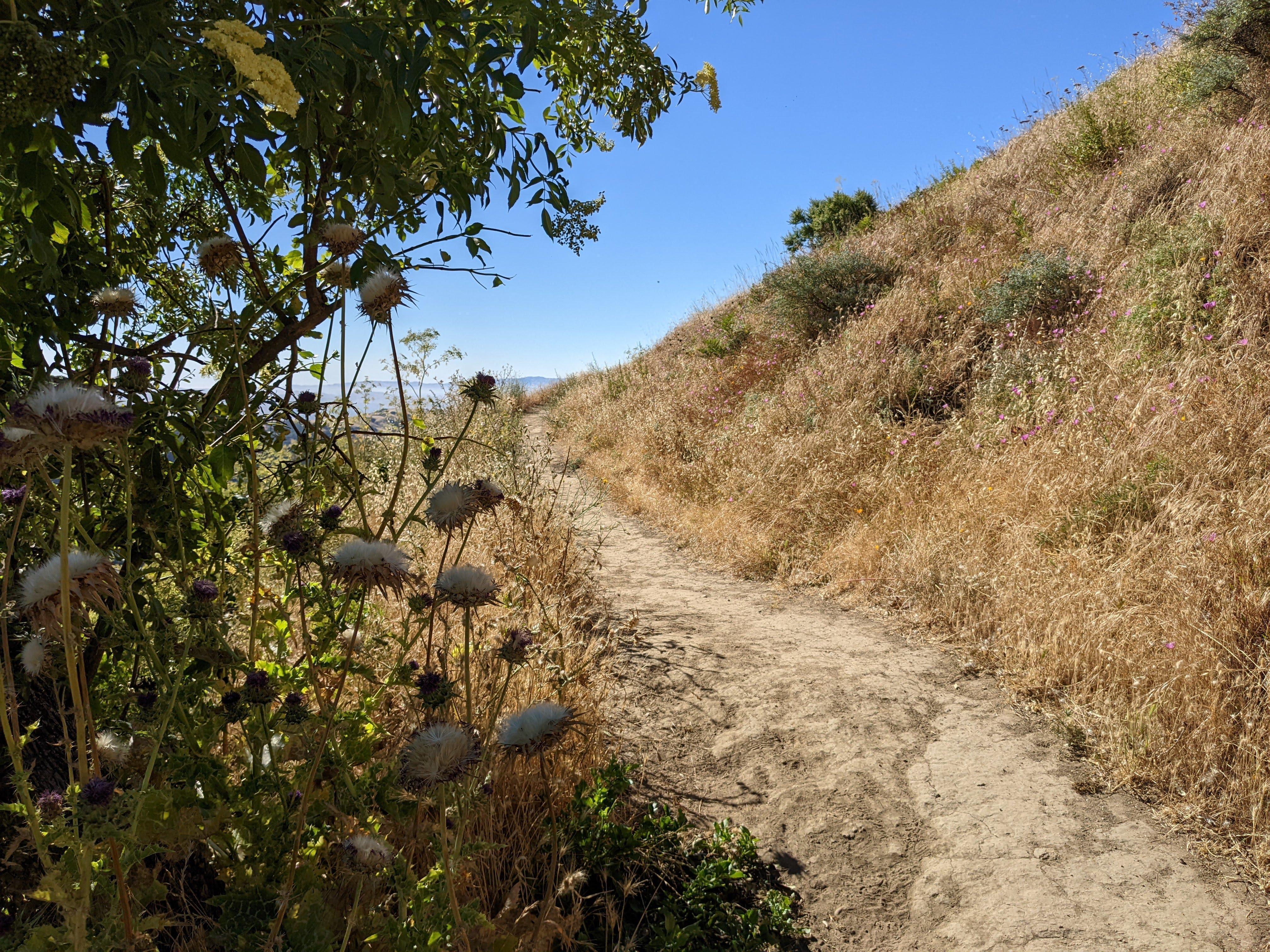 On the trail right below the antenna tower