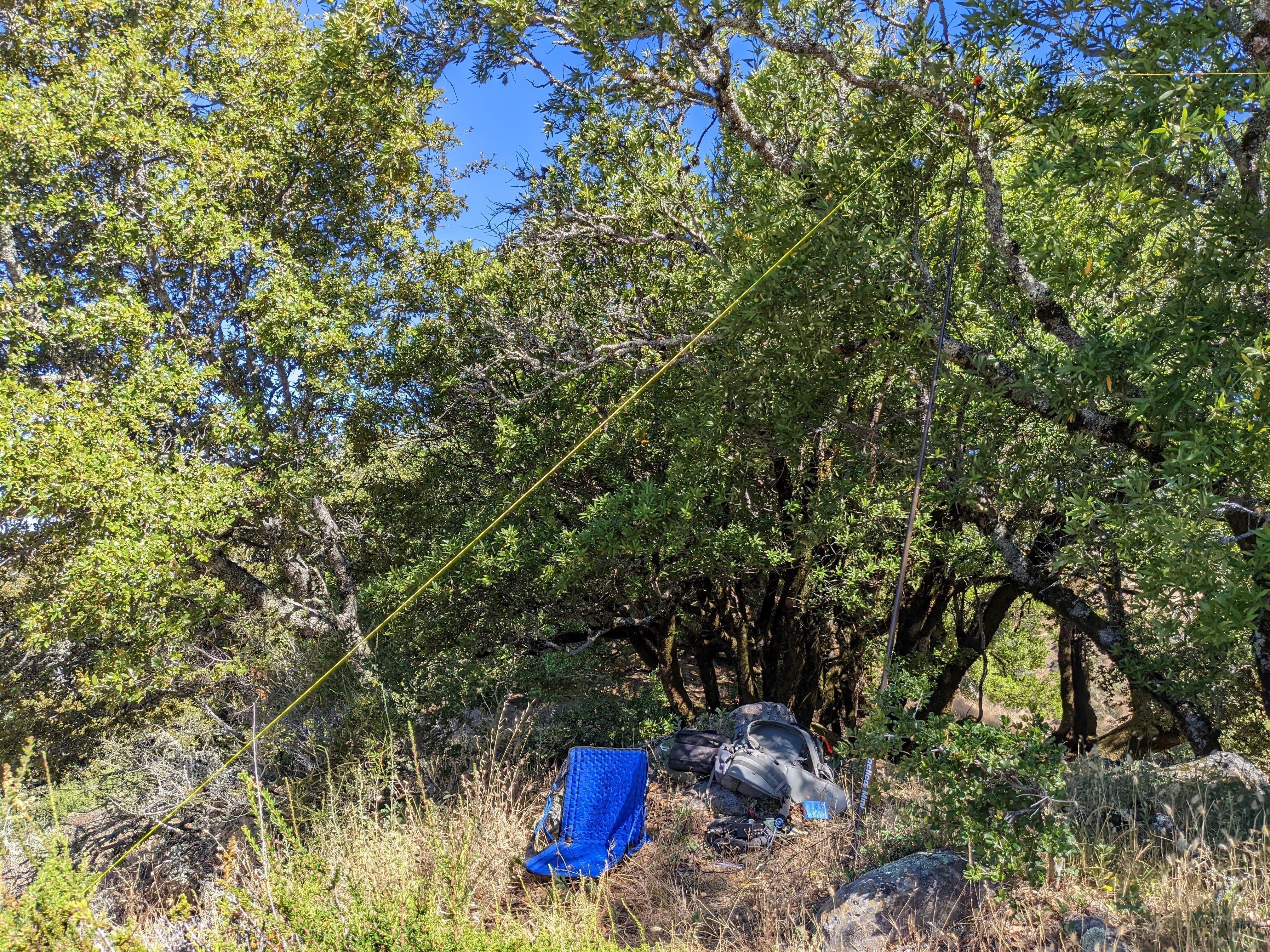 Antenna deployed, ready to activate