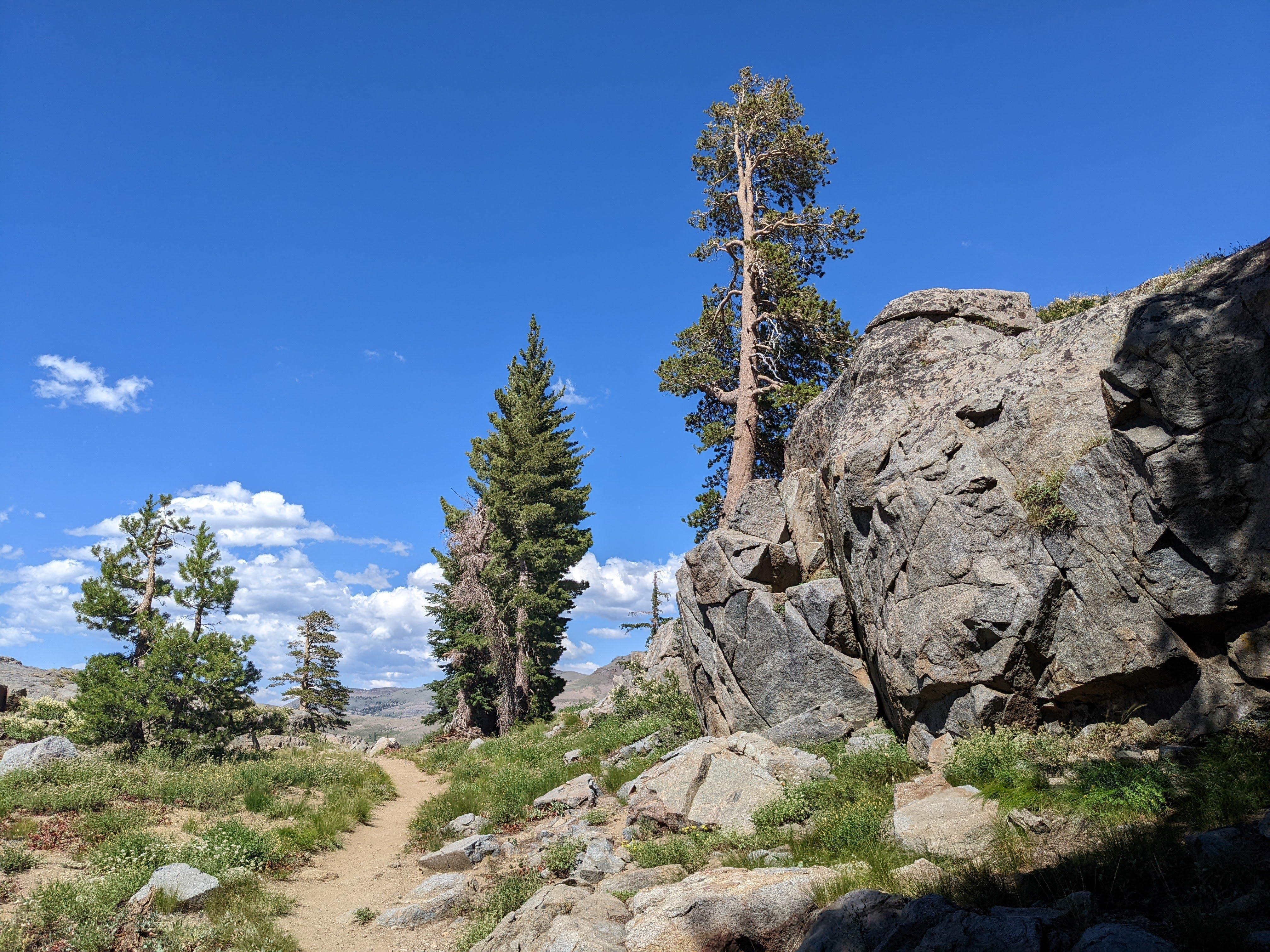 Blue, Green and Grey - in the vicinity of Black Butte