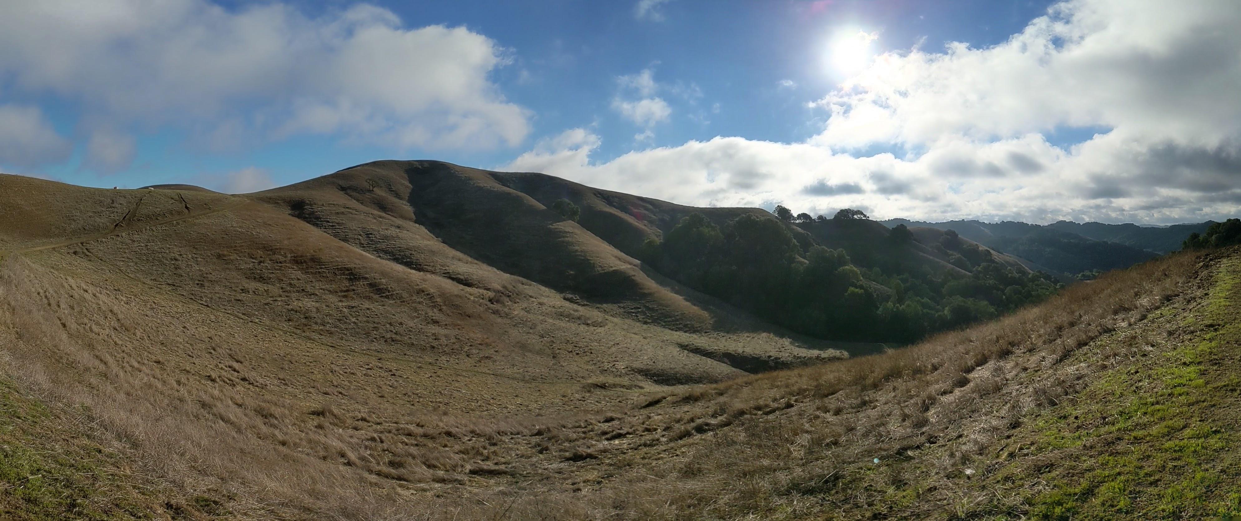 No shade almost until the top