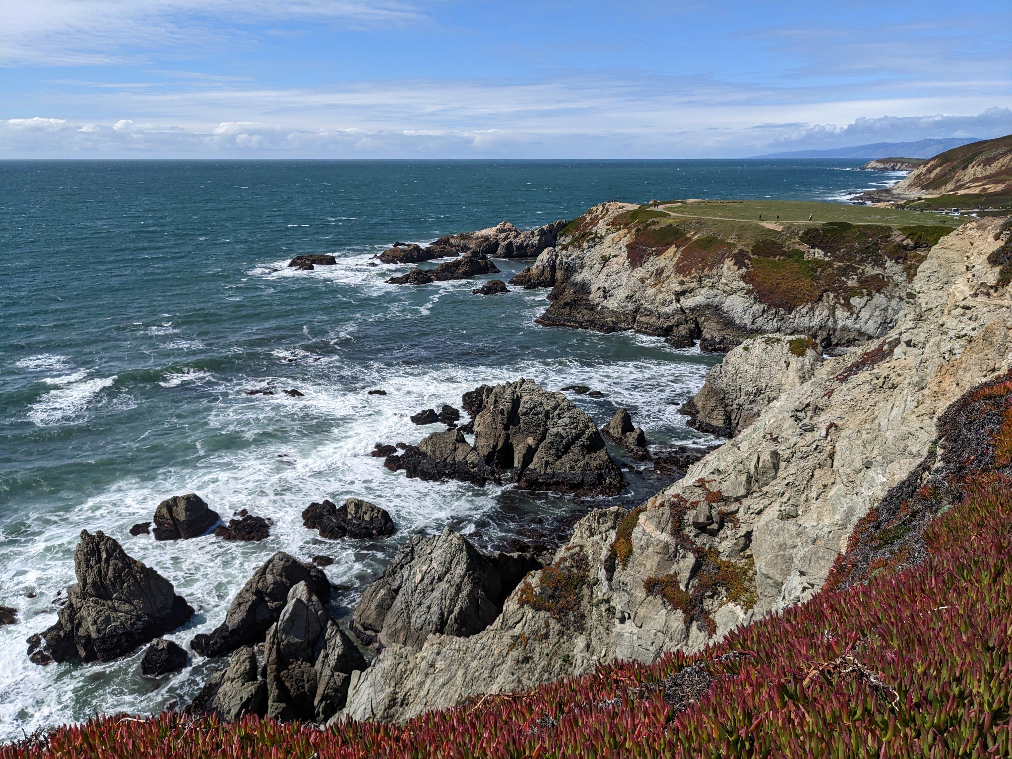 Cliffs below the Bodega Head Trail