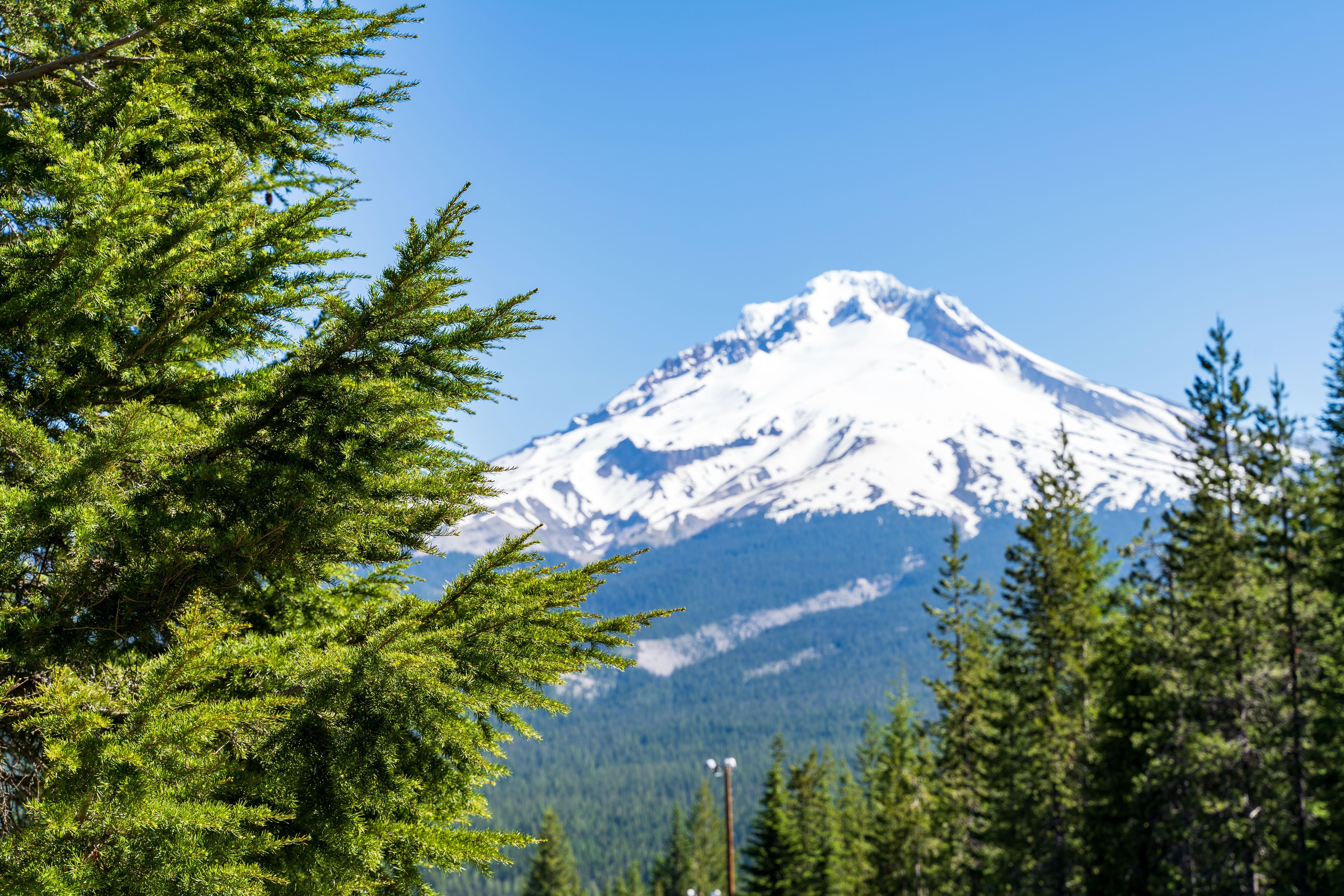 Tom, Dick and Harry Mt. SOTA activation, Field Day 2024