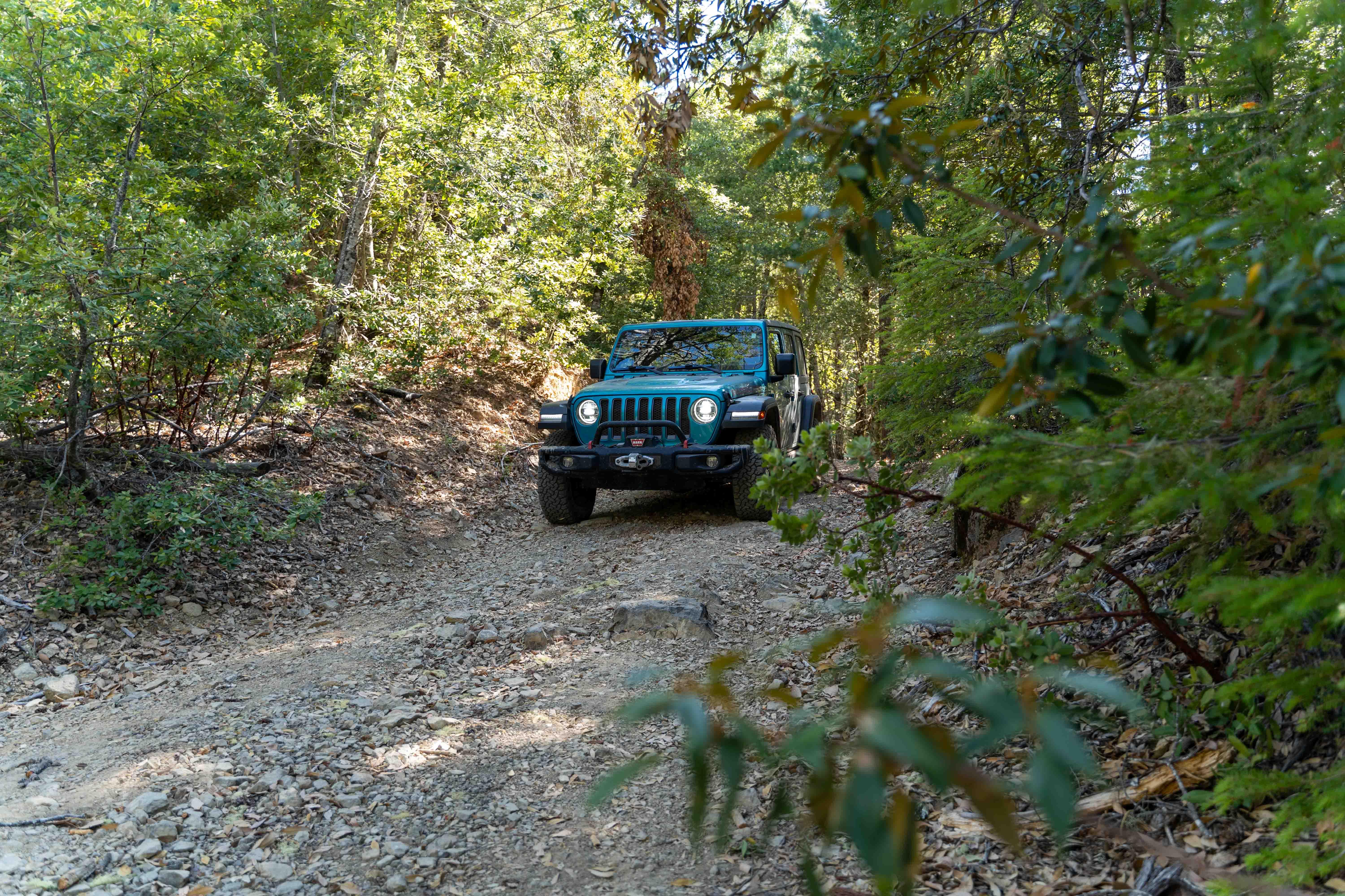 On the Saddle Mountain Road